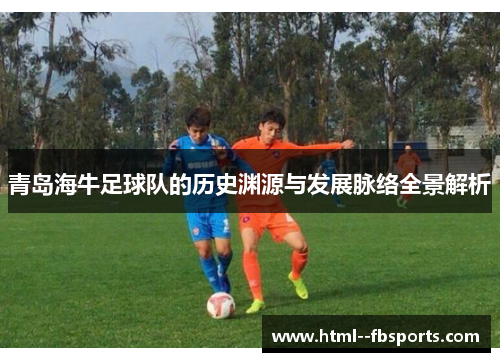 青岛海牛足球队的历史渊源与发展脉络全景解析