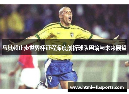 马其顿止步世界杯征程深度剖析球队困境与未来展望