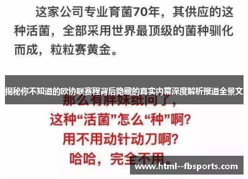 揭秘你不知道的欧协联赛程背后隐藏的真实内幕深度解析报道全景文